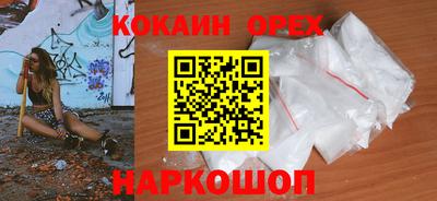гидра Гатчина