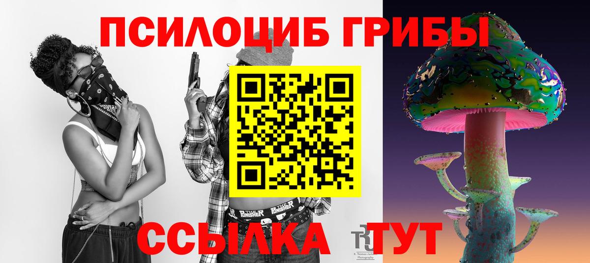 Псилоцибиновые грибы мухоморы  Вход с VPN  даркнет сайт  Галлюциногенные грибы мухоморы  Канск 